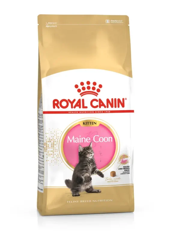Alimento para gato cachorro Royal Canin Maine Coon Kitten