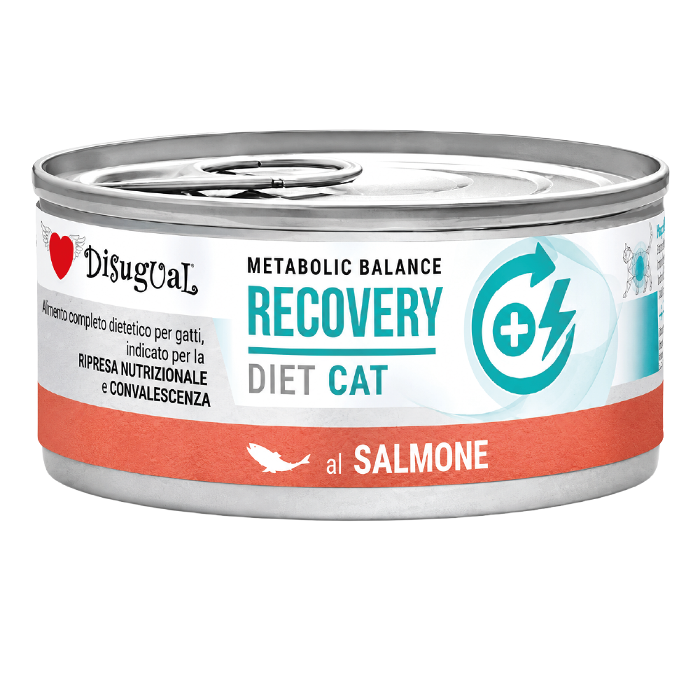 Disugual-Gato-Lata-Recovery-salmon disugual diet recovery Salmon